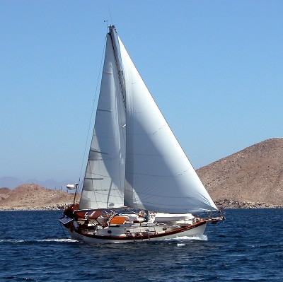 Sarana Sailing Fast