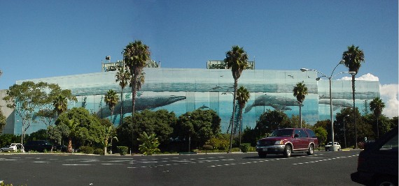 Wyland Painting