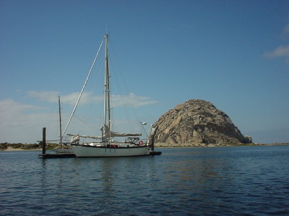 Scoring the floating dock at Morro Bay!